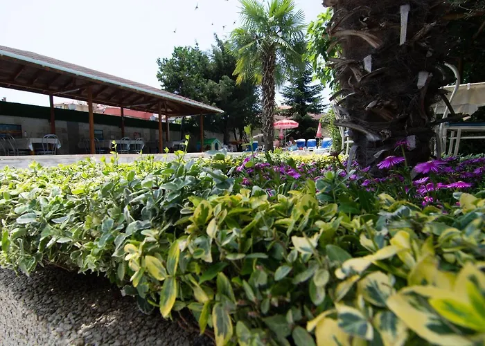 ホテル Atlantic Complex ラヴダ